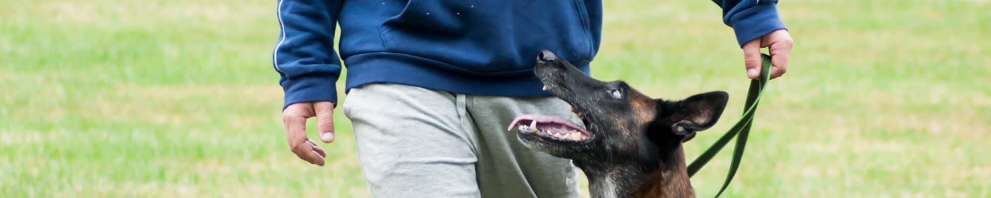 Clicker Training