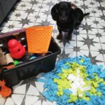 Dog Enrichment Training Services