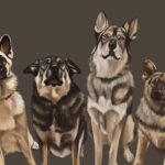 The Dogs Of GDDT