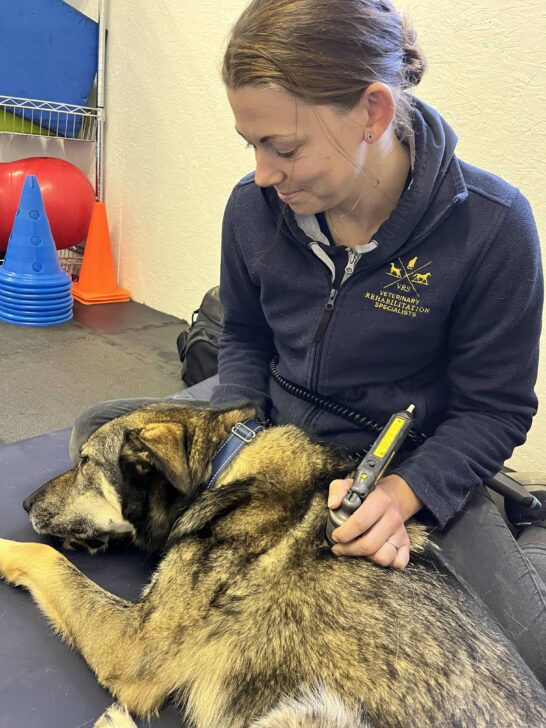 Canine Fitness Centre