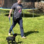 Positive pup dog training services
