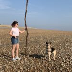 Rouge - Dog on the beach