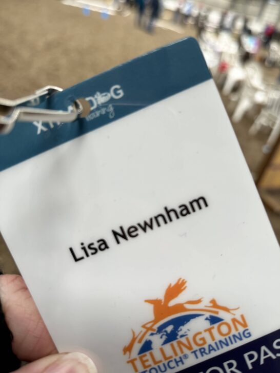 Lisa Newnham - Professional Dog Trainer