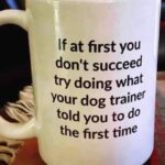 Dog Training Message on a Mug