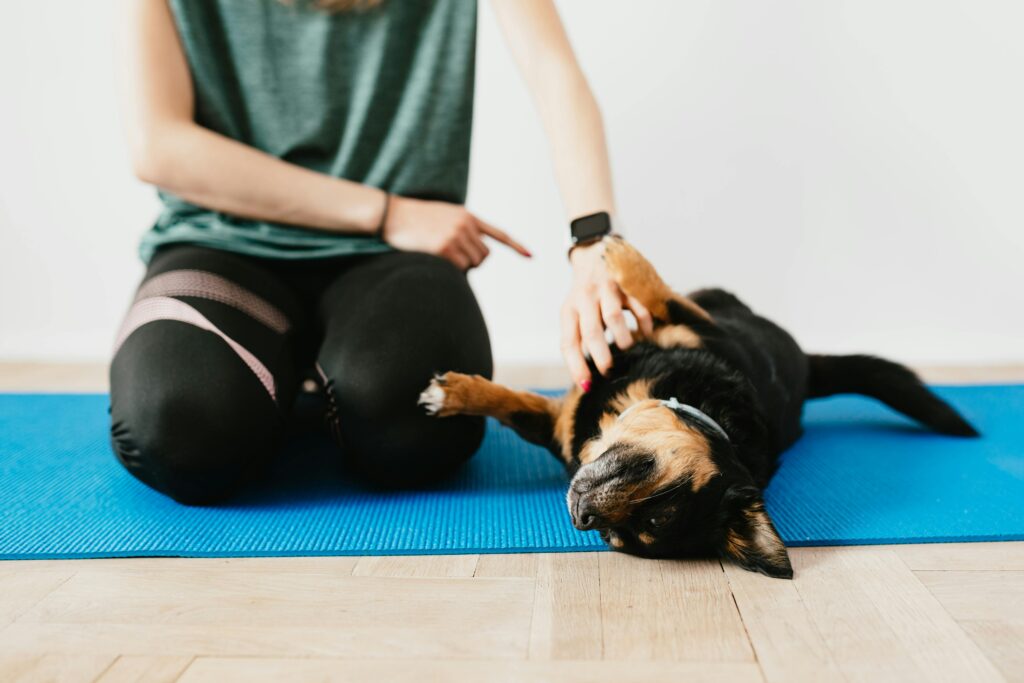 Puppy dog training hampshire